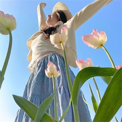舒克与桃花